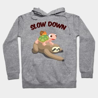 Slow Down Funny Turtle Riding Sloth Hoodie